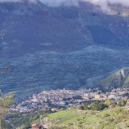 Nido